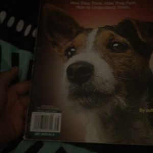 The animal mind book